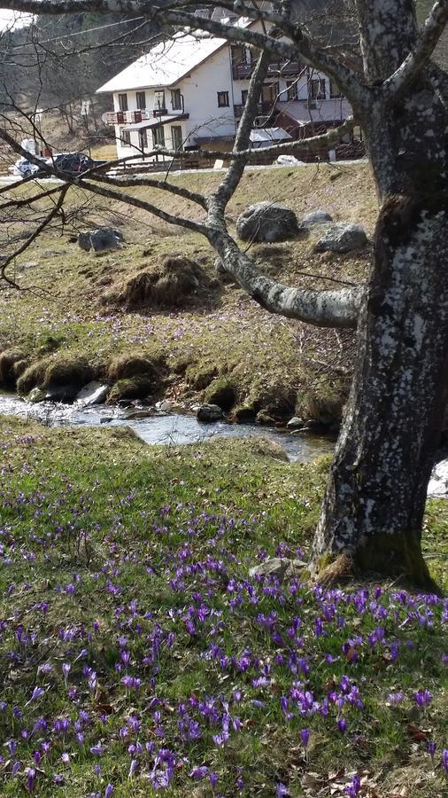 Cabana Barlogul Lupilor Villa Berevoesti Buitenkant foto