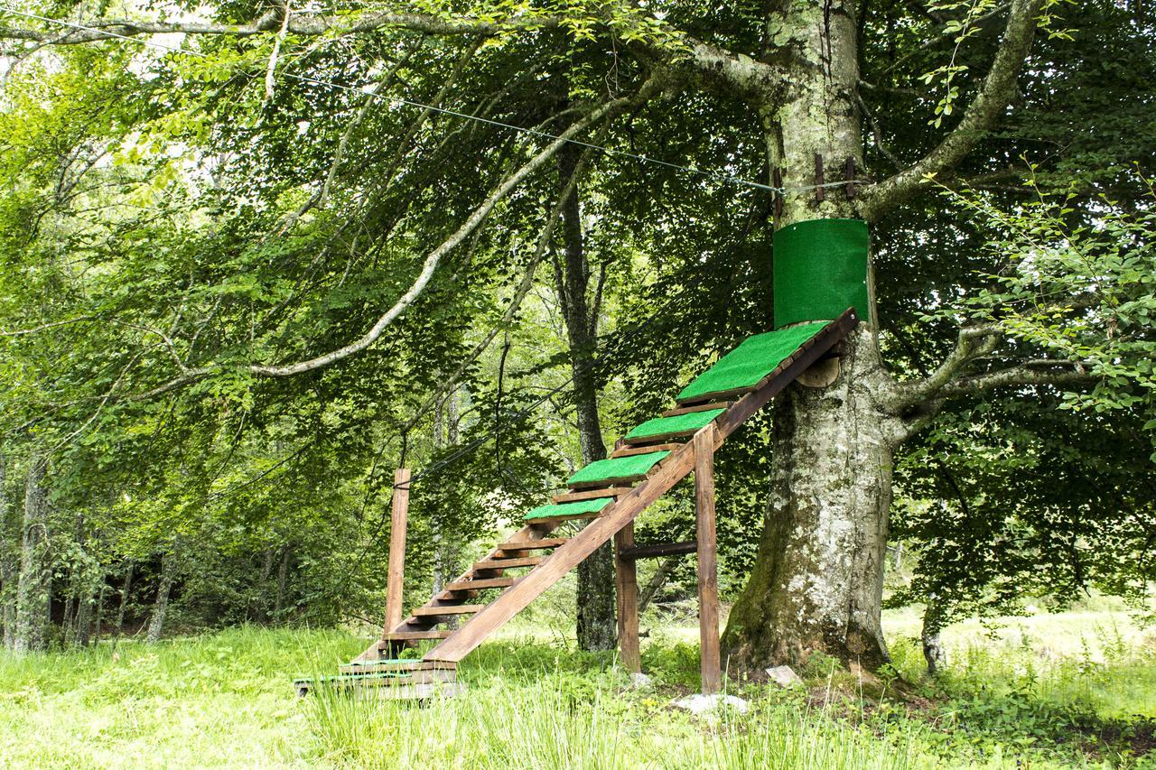 Cabana Barlogul Lupilor Villa Berevoesti Buitenkant foto
