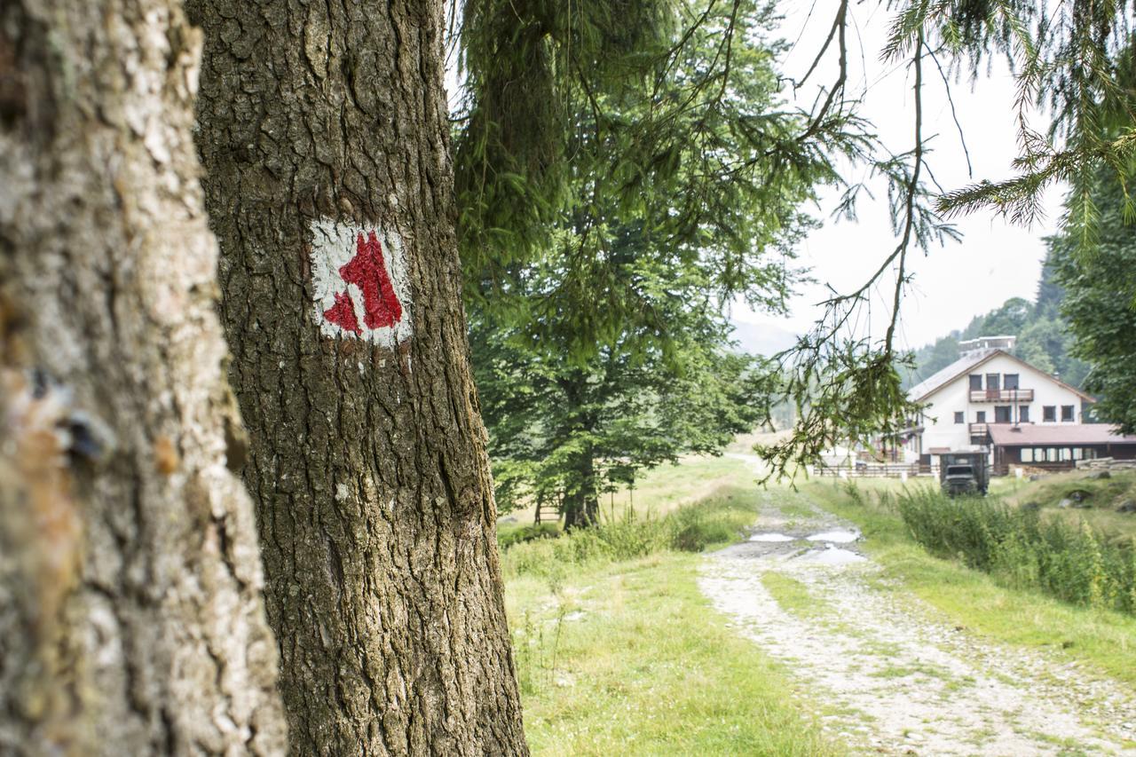 Cabana Barlogul Lupilor Villa Berevoesti Buitenkant foto