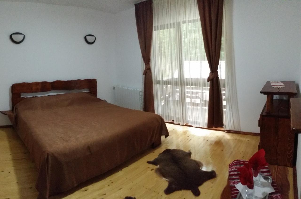 Cabana Barlogul Lupilor Villa Berevoesti Kamer foto