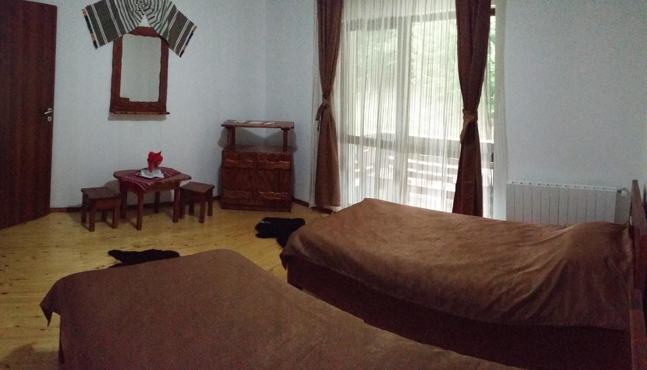 Cabana Barlogul Lupilor Villa Berevoesti Buitenkant foto