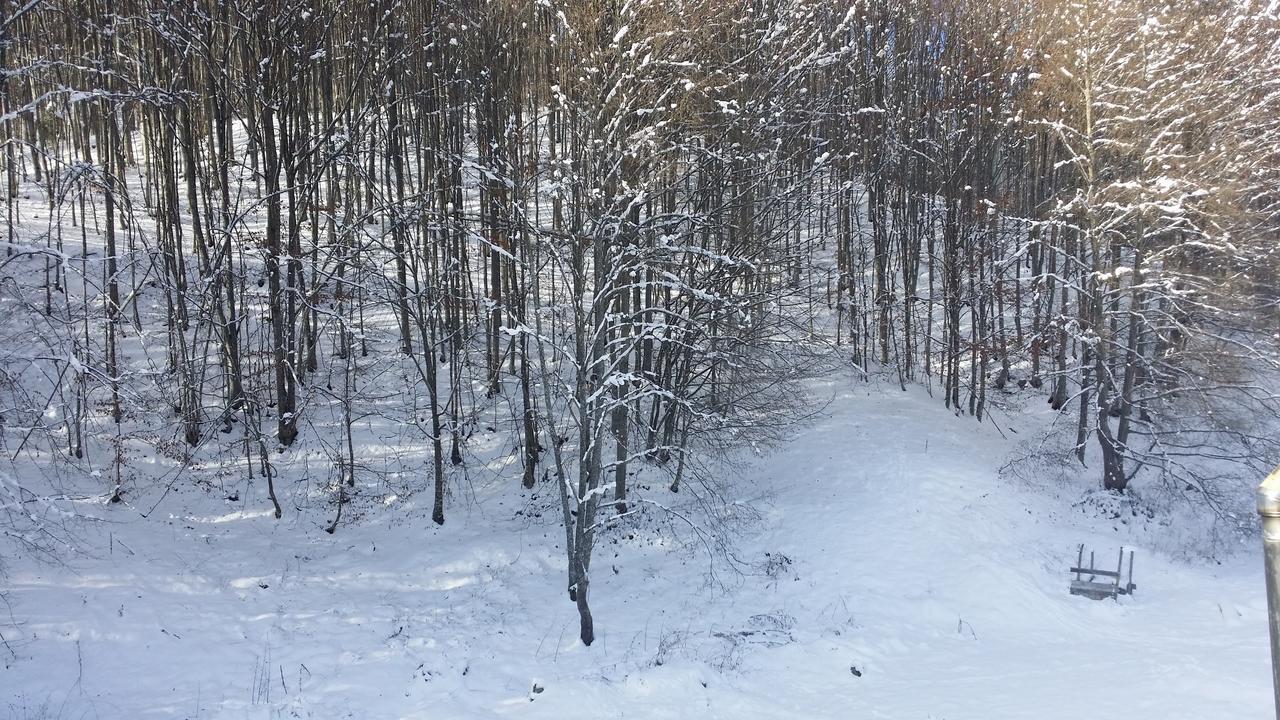 Cabana Barlogul Lupilor Villa Berevoesti Buitenkant foto