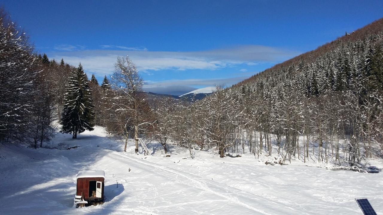Cabana Barlogul Lupilor Villa Berevoesti Buitenkant foto