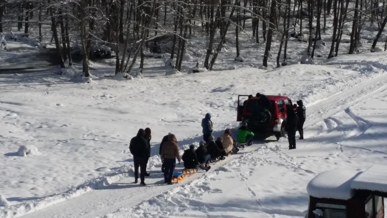 Cabana Barlogul Lupilor Villa Berevoesti Buitenkant foto