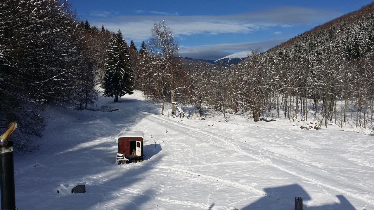 Cabana Barlogul Lupilor Villa Berevoesti Buitenkant foto