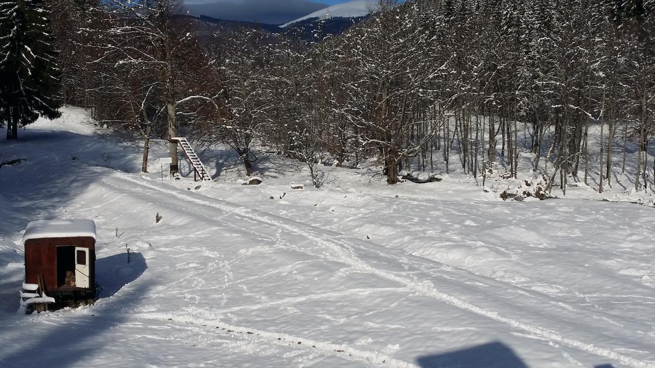 Cabana Barlogul Lupilor Villa Berevoesti Buitenkant foto