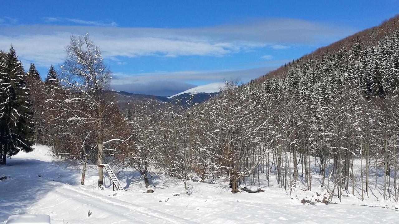 Cabana Barlogul Lupilor Villa Berevoesti Buitenkant foto