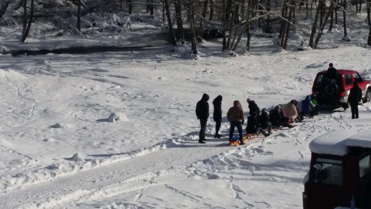 Cabana Barlogul Lupilor Villa Berevoesti Buitenkant foto