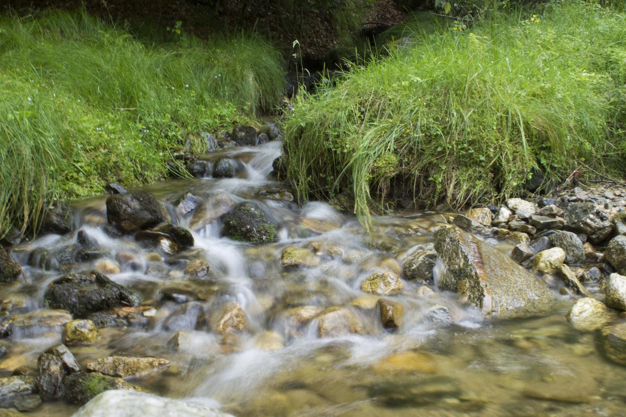 Cabana Barlogul Lupilor Villa Berevoesti Buitenkant foto
