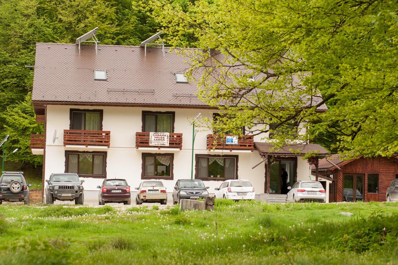 Cabana Barlogul Lupilor Villa Berevoesti Buitenkant foto